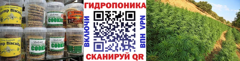 Canna-Cookies марихуана купить наркотики сайты Калтан