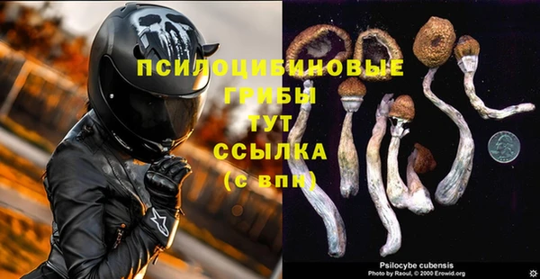 марки nbome Новозыбков