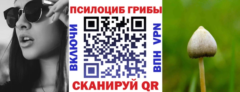 blacksprut зеркало  Калтан  Галлюциногенные грибы ЛСД 